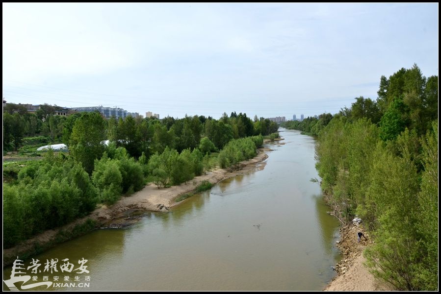JPG_2854.JPG