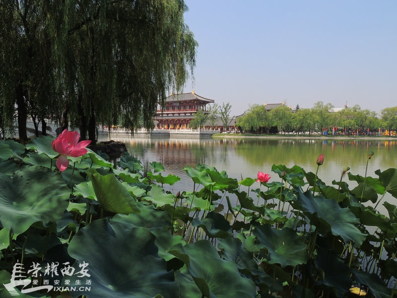 DSCN0925.JPG
