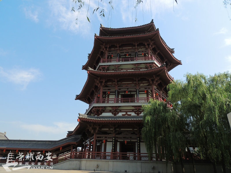 DSCN0716.JPG