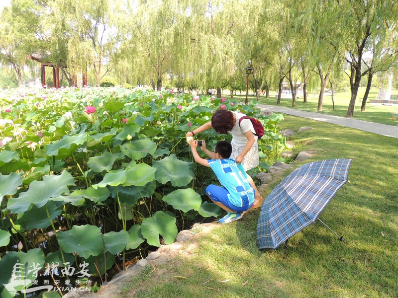 DSCN0725.JPG