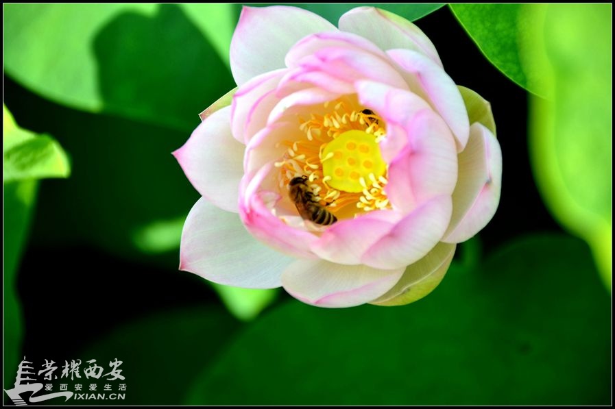 JPG_3214.JPG