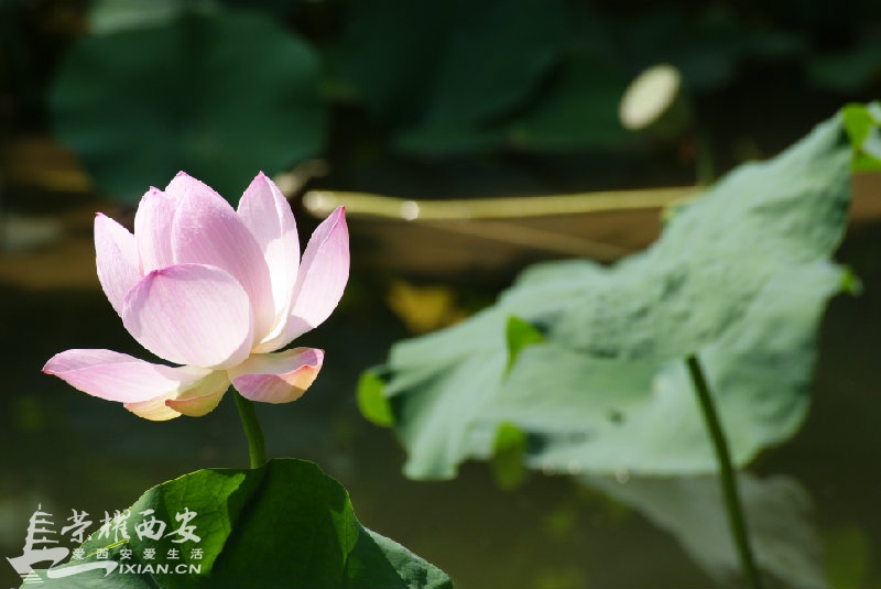 DSC03822.JPG