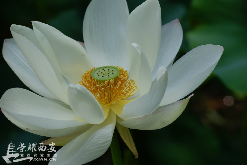 DSC03895.JPG