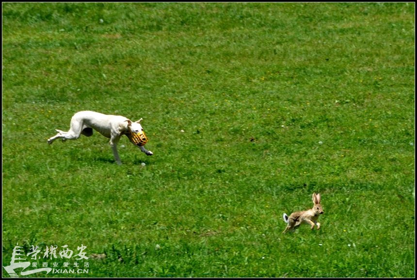 JPG_3353.JPG