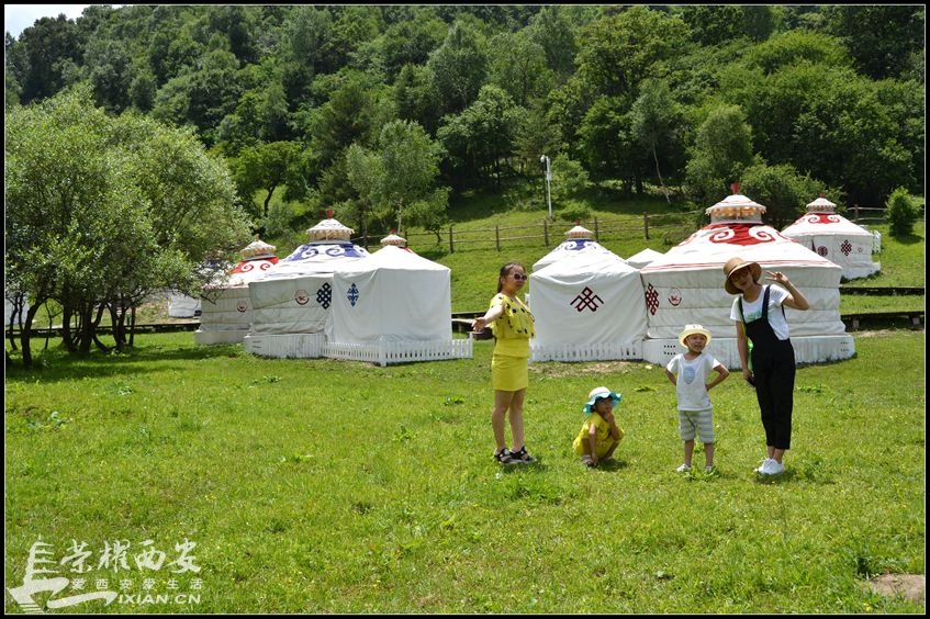 JPG_3374.JPG