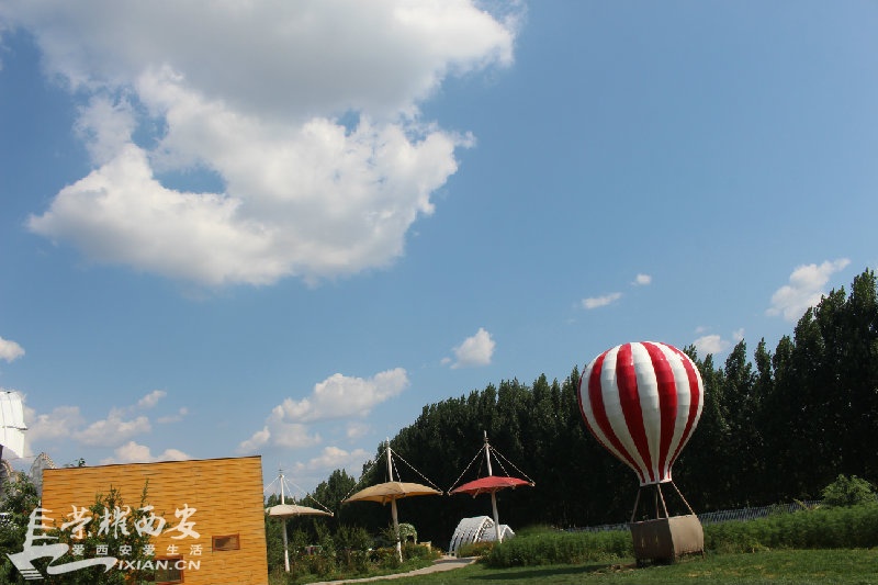 IMG_1113.JPG