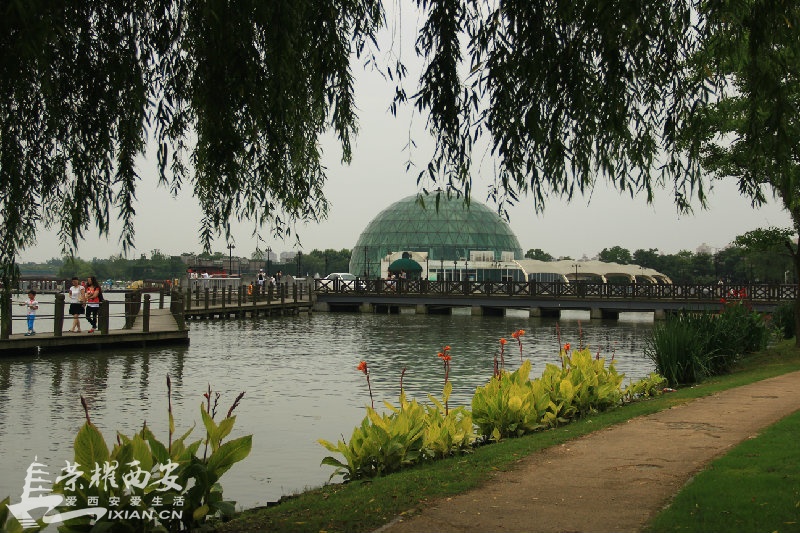IMG_0075.JPG