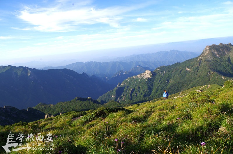 IMGP5164_鍓?湰.jpg
