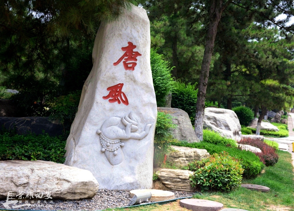 鍞愯嫅 (2).JPG