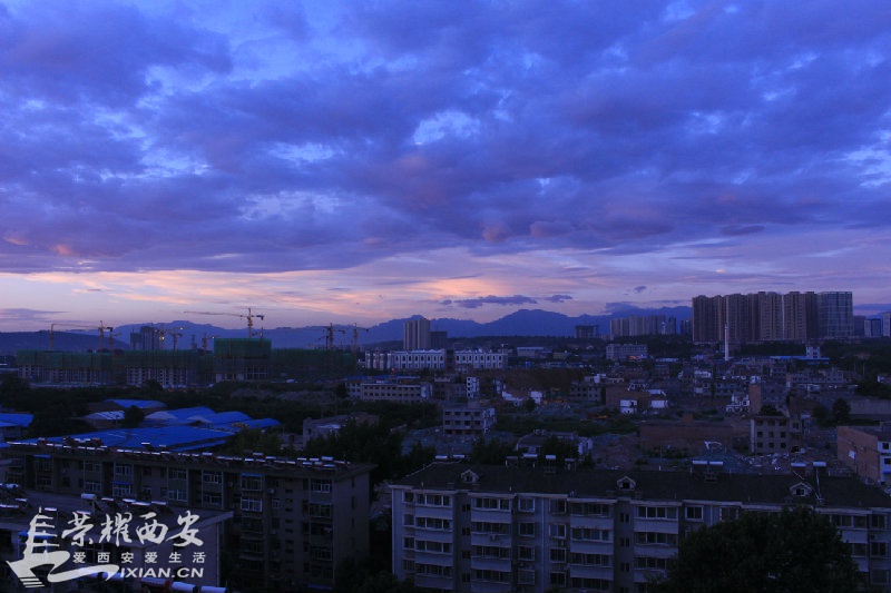 IMG_3575.JPG