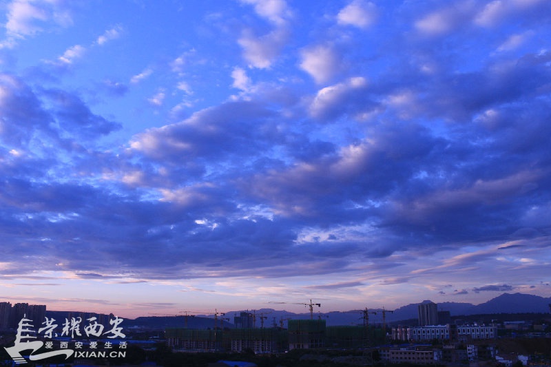 IMG_3591.JPG