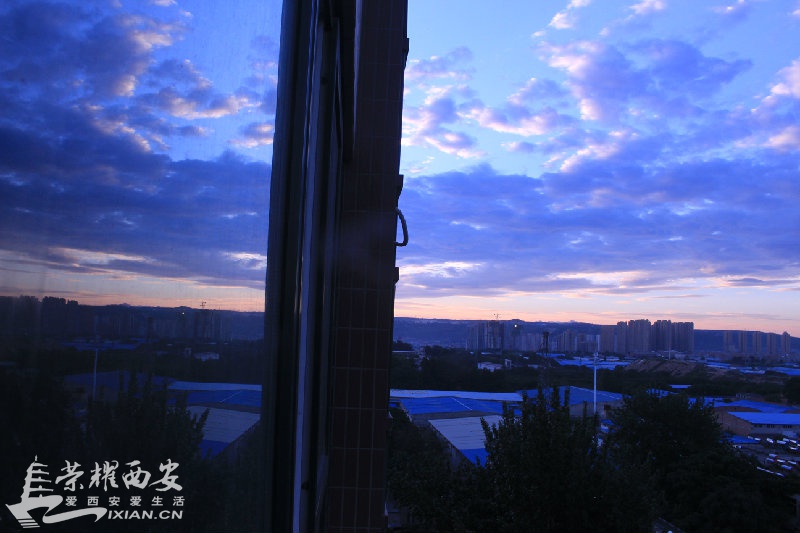 IMG_3594.JPG