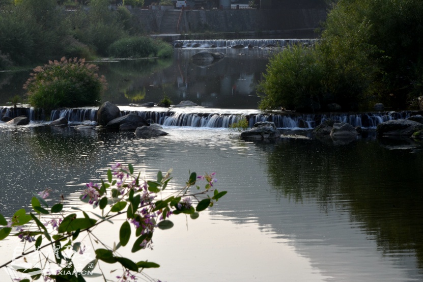 JPG_8243.JPG