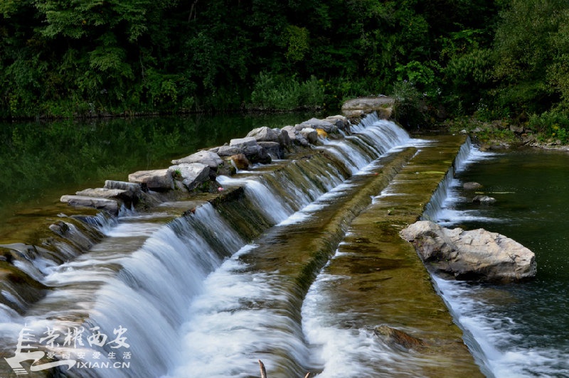 JPG_8267.JPG