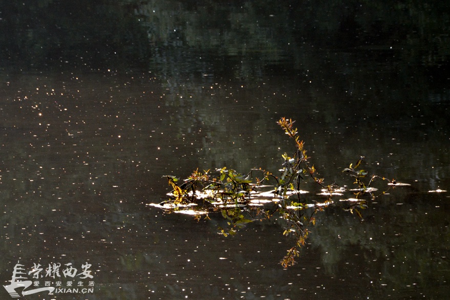 JPG_8269.JPG
