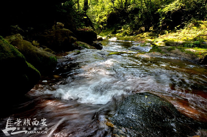JPG_8374.JPG