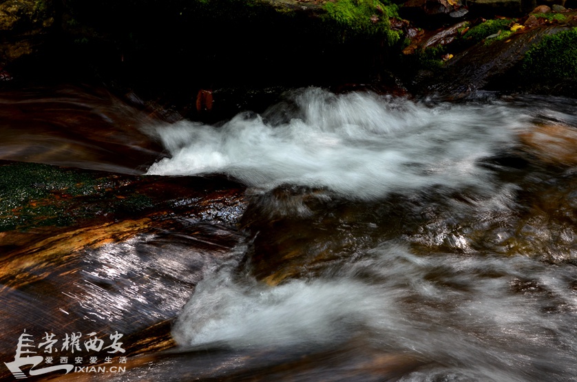 JPG_8372.JPG