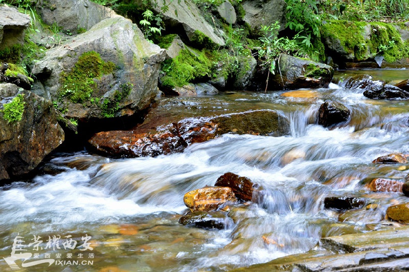 JPG_8404.JPG