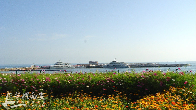 DSC06448_meitu_52.jpg