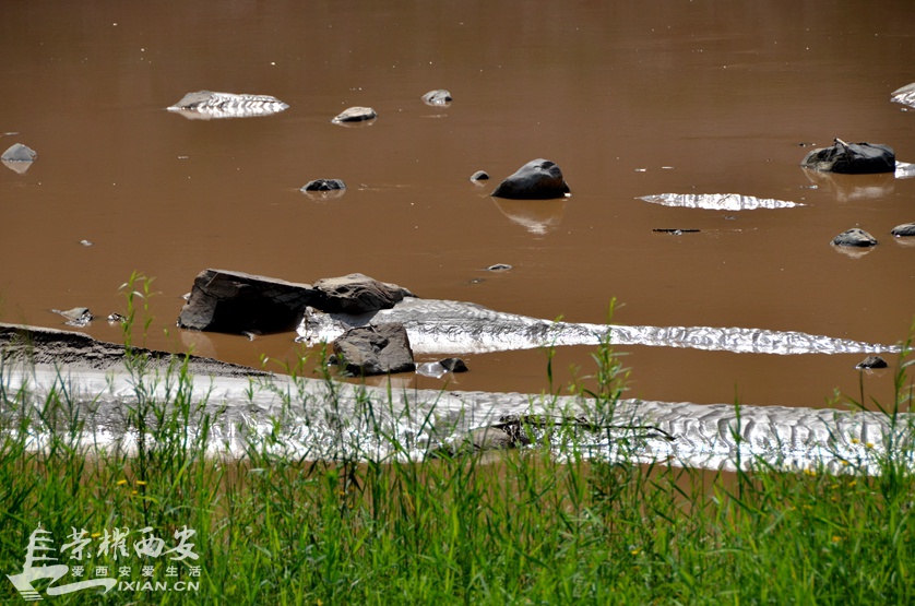 JPG_6406.JPG