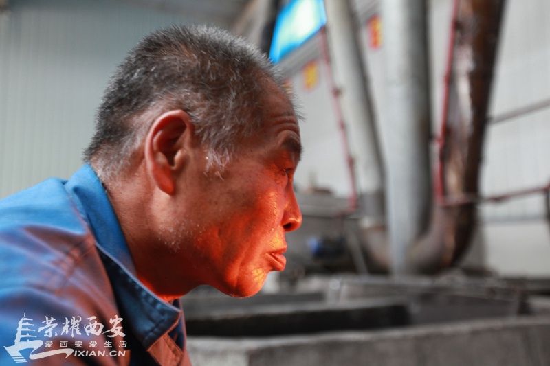 杨凌105.jpg