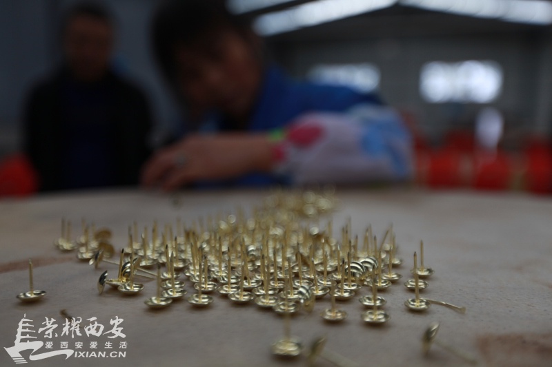 杨凌111.jpg