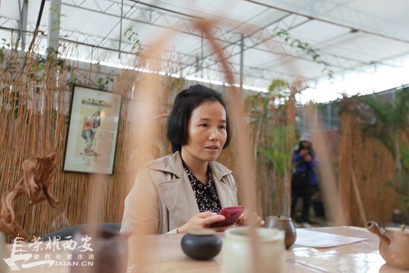 杨凌051.jpg