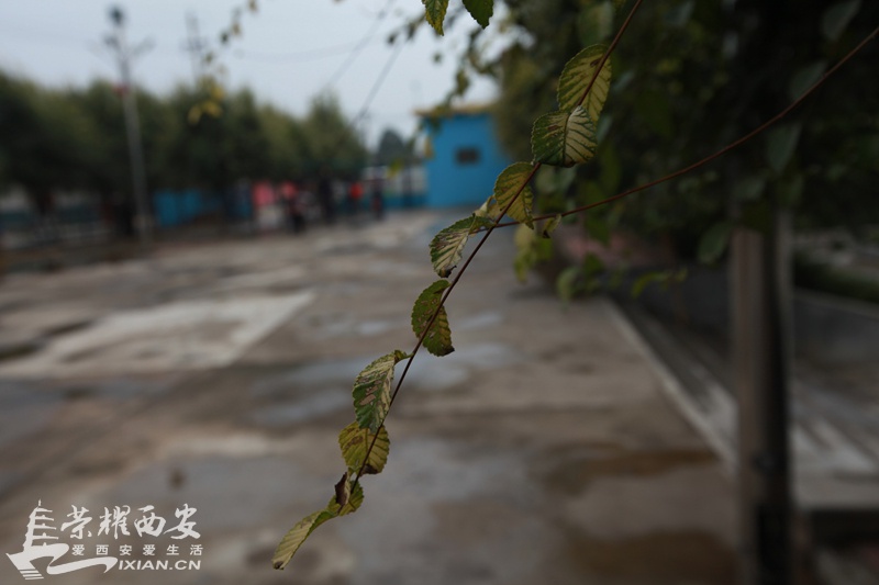 杨凌054.jpg
