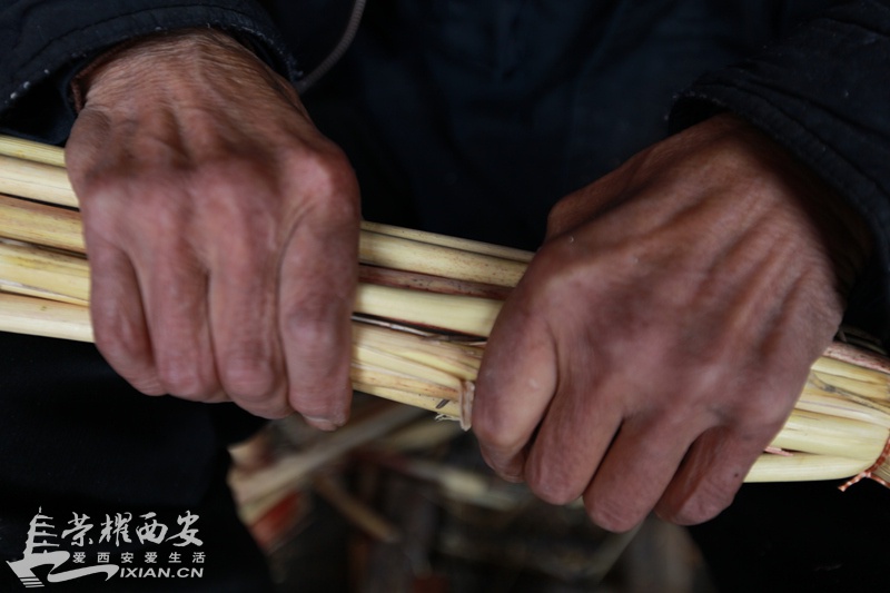 杨凌070.jpg