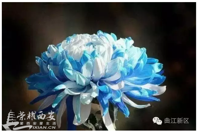 QQ截图20161019144752.png