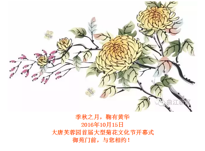 QQ截图20161019145010.png