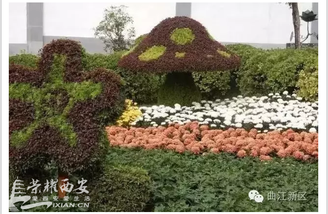 QQ截图20161019145413.png