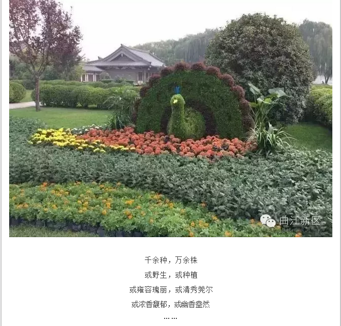 QQ截图20161019145433.png