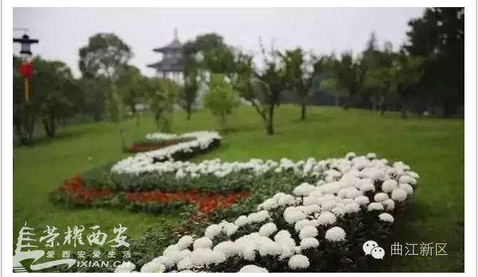 QQ截图20161019145552.png