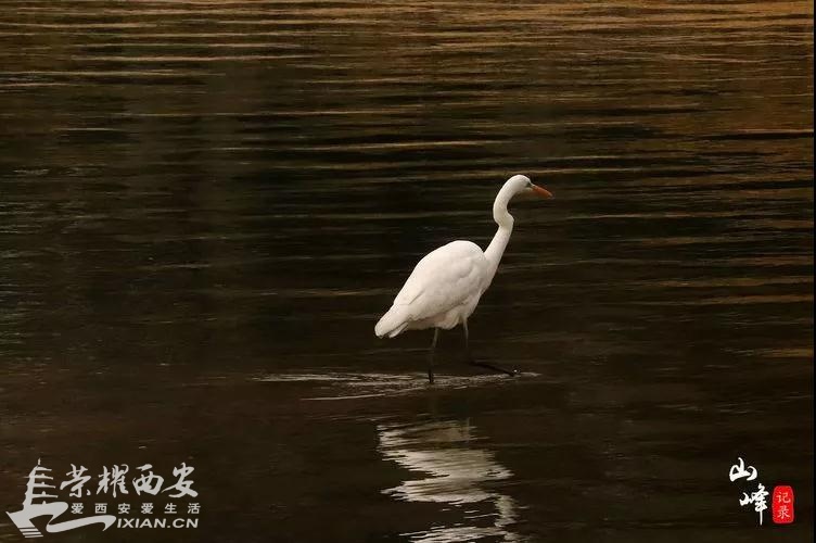 微信图片_20190103144842.jpg