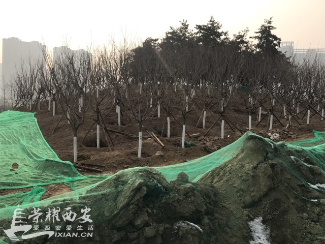 201901055640891546677692284469.jpg