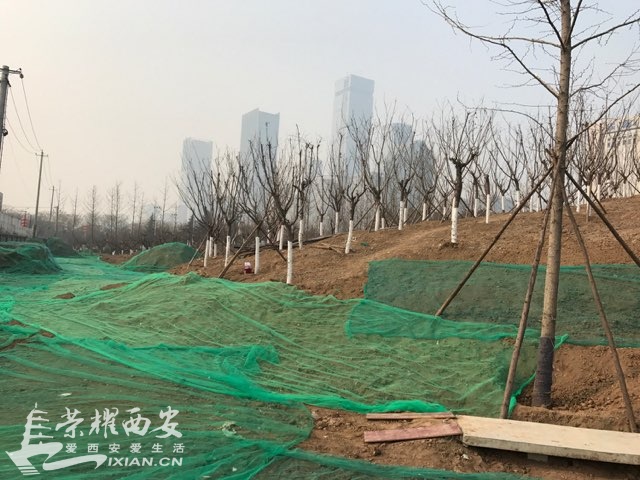 201901055640891546677692401688.jpg