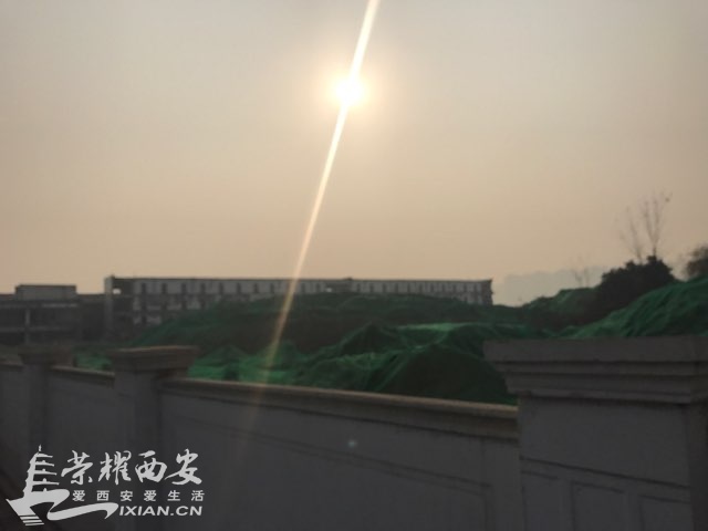 201901055640891546677936393014.jpg