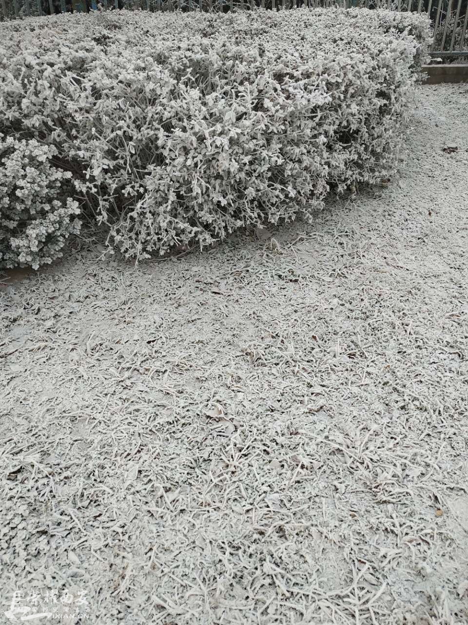 20190112_28454_1547259544018.jpg
