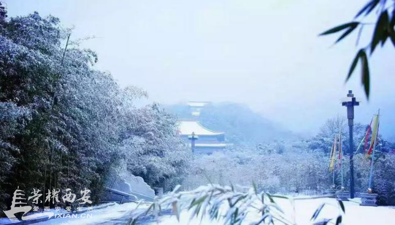 微信截图_20190114095327.png