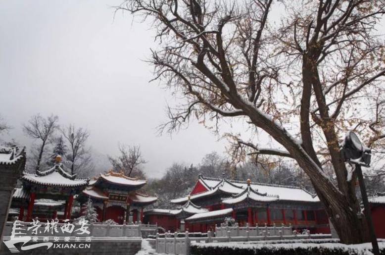 微信截图_20190114095521.png