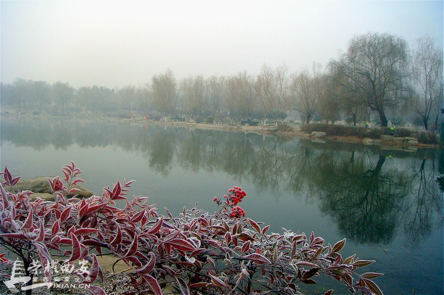 DSC00886_meitu_24.jpg