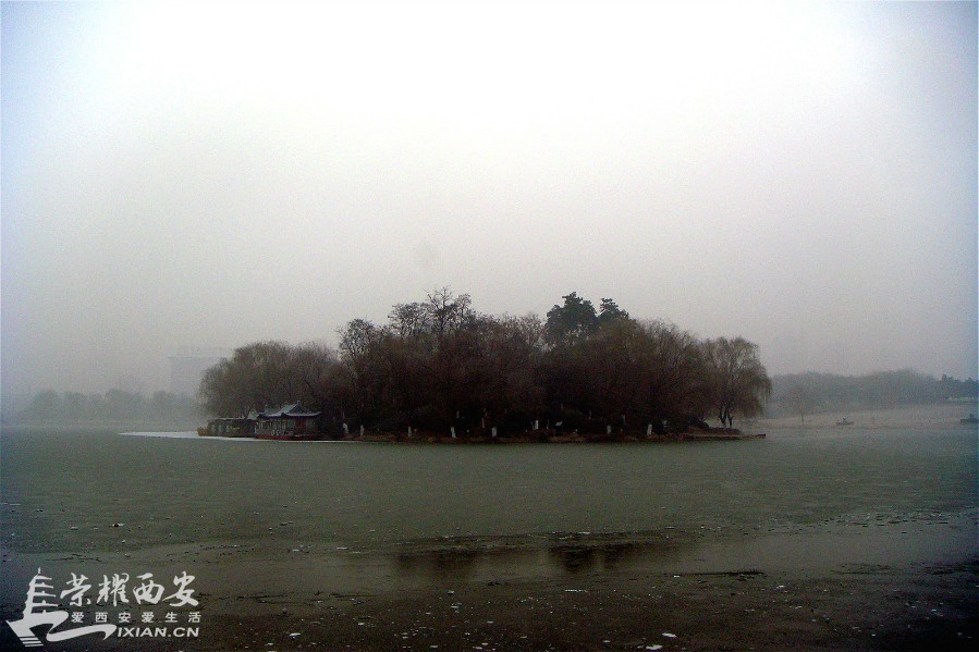 DSC00993_meitu_41.jpg