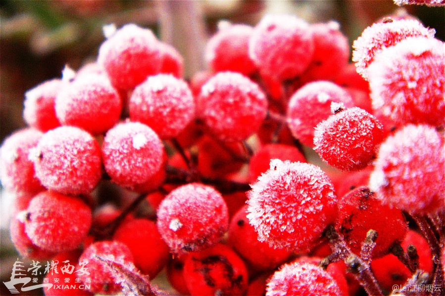 DSC00935_meitu_28.jpg