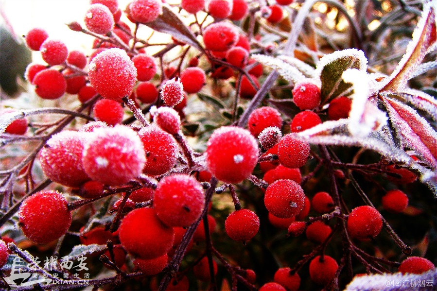 DSC01018_meitu_51.jpg