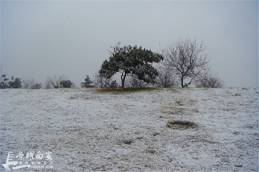 DSC02346_meitu_43.jpg