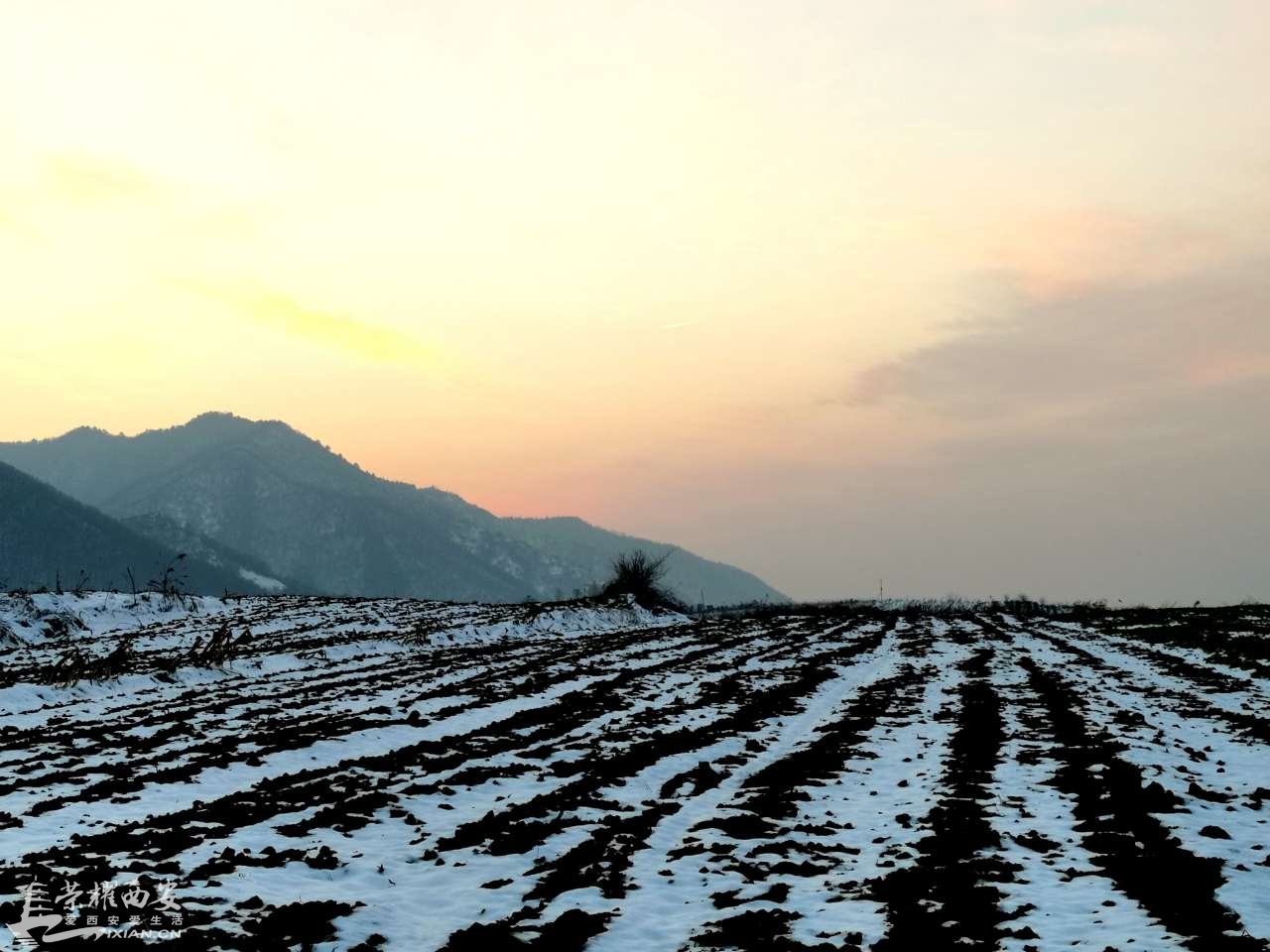 20190202_566948_1549046088248.jpg
