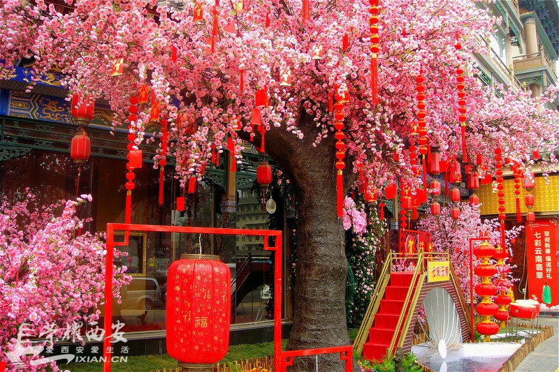 DSC02061_meitu_19.jpg