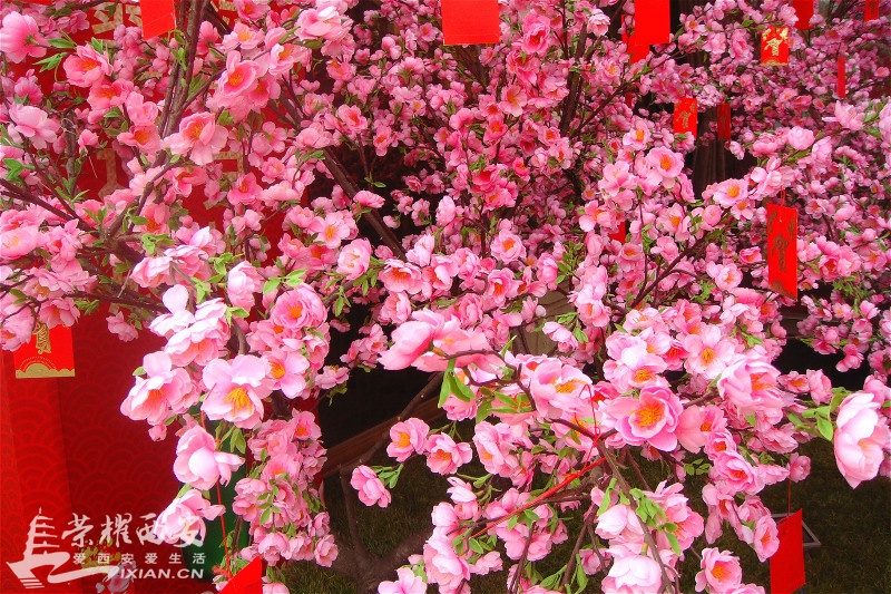 DSC02046_meitu_4.jpg