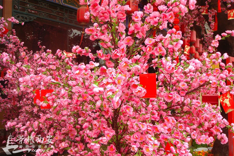 DSC02074_meitu_32.jpg
